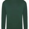 Variation picture for Bottle Green