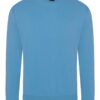 Variation picture for Sky Blue