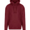 Variation picture for Maroon