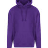 Variation picture for Purple